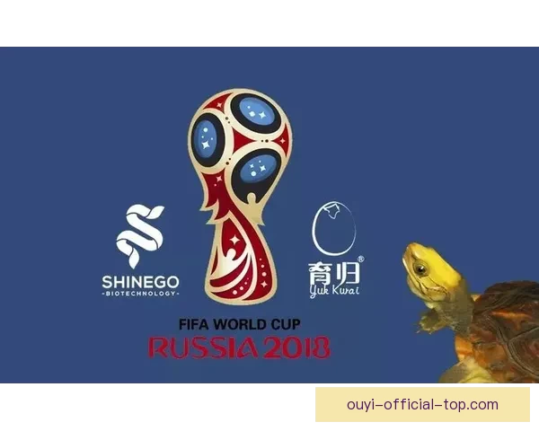 世界杯竞猜福利平台带你畅享精彩赛事赢取丰厚奖励新体验